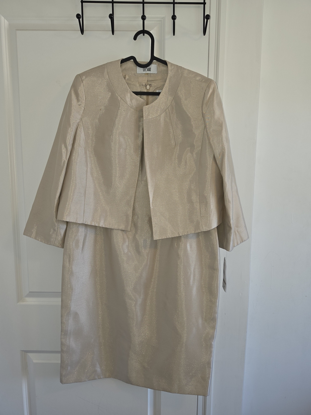 Le Suit Shimmery Champagne Two-Piece Dress and Jacket